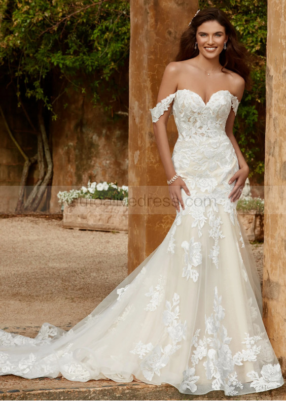 Ivory Lace Tulle Sweet Wedding Dress With Horsehair Trim